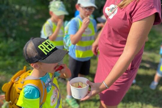 PrimaKids Samozber jabĺk 1