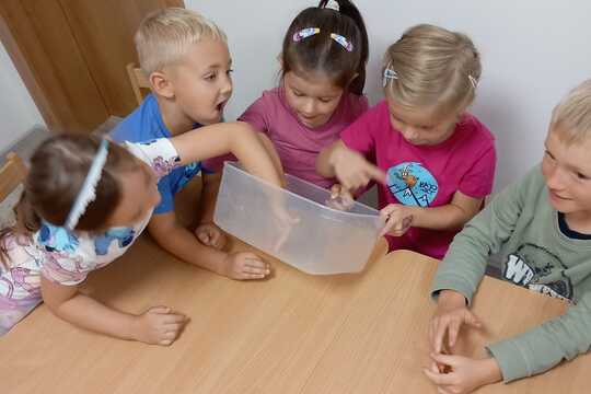 Hagovská müsli granola Hagovská müsli granola 1