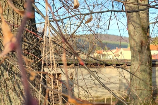 Pomáhame vtáčikom v zime Pomáhame vtáčikom v zime 1