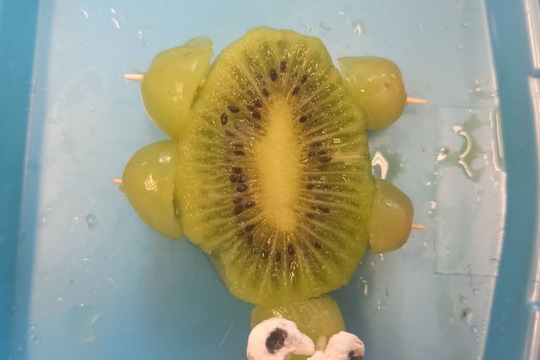  Keď máš v škole healthy food, tak si happy fuuuurt :) 1