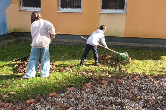 Upratovanie školského areálu  1