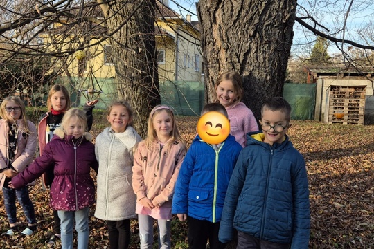 Pomáhame vtáčikom v zime Pomáhame vtáčikom v zime 1