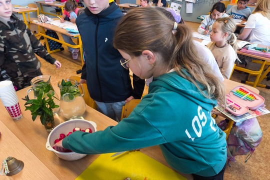 Pestovateľské úspechy vo vyvýšených záhonoch sú aj chutné  1
