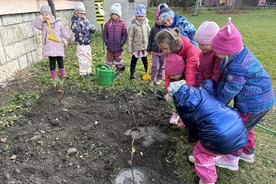 Sadenie stromčekov 1