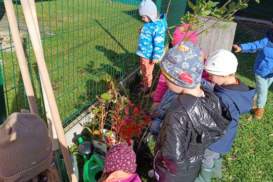 Školská záhrada 1