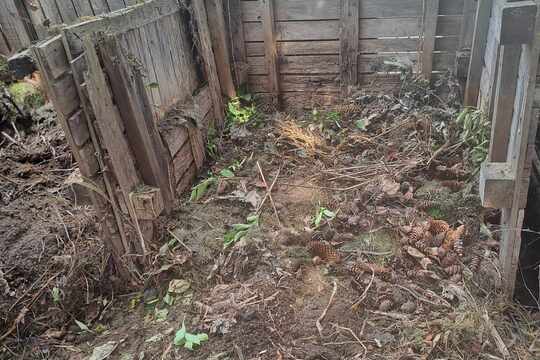 Jesenné spracovanie kompostu 1