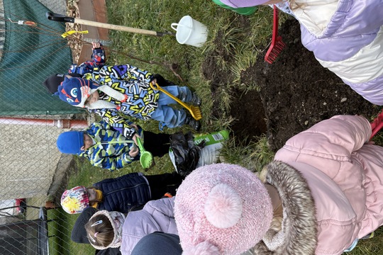 Sadenie stromčekov 1