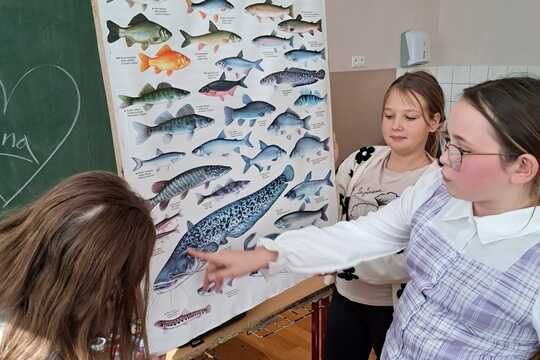 Fascinujúci svet včiel a rýb na hodinách biológie Fascinujúci svet včiel a rýb na hodinách biológie 1
