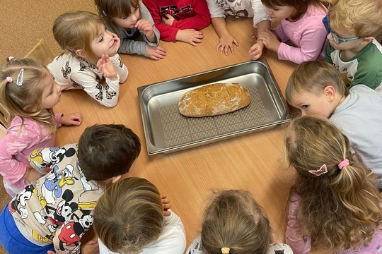 Od zrnka ku chlebíku 1