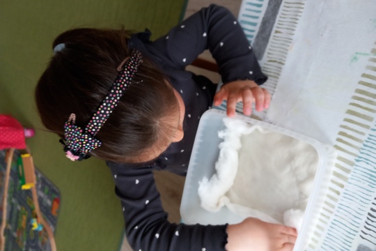 Sadenie semienok a klíčkov  1