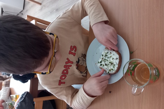 Sadenie semienok a klíčkov  1