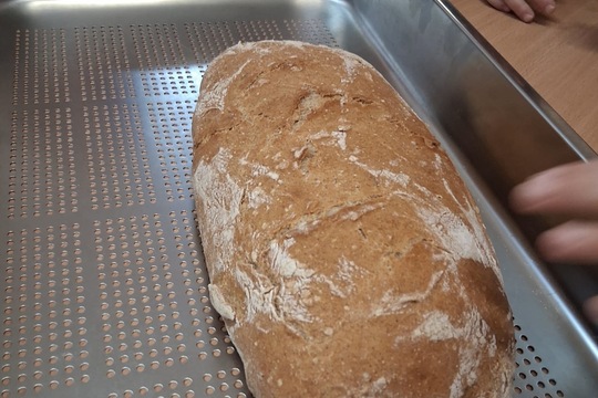 Od zrnka ku chlebíku 1