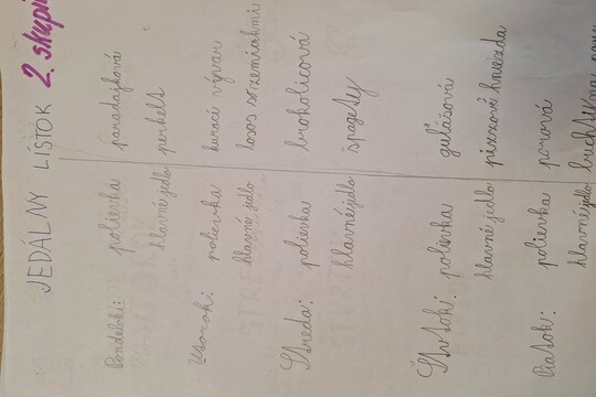 Naša dlhodobá výzva 1