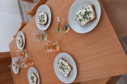 Sadenie semienok a klíčkov  1