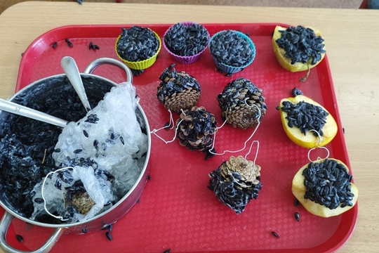 Pomáhame vtáčikom v zime  1