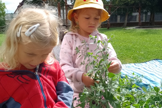 Malvínkine kúzla s bylinkami: Deti skúmajú, ochutnávajú a objavujú 1