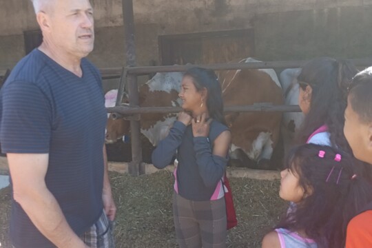Návšteva našich kravičiek 1