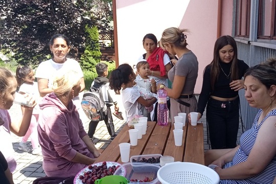 Piknik na školskom dvore Piknik na školskom dvore 1