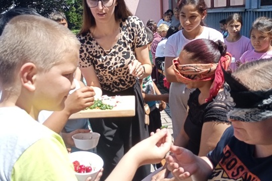 Piknik na školskom dvore Piknik na školskom dvore 1