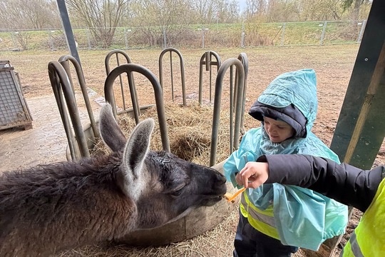 Návšteva farmy vo Villa Betula  1
