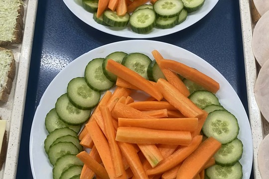 Mikrobylinky sa hlásia o slovo 1