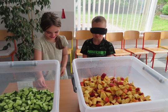 Školské ovocie – chutná cesta k zdraviu 1