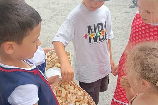 Vítanie chlebom a soľou krásne Slovenské zvyky-vystúpenie súboru Búčik  1