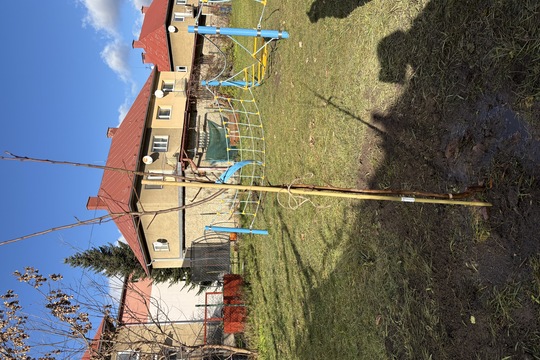 Sadenie stromčekov 1