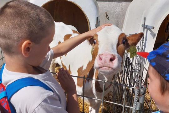 Deň otvorených dverí na farme Šterusy 1