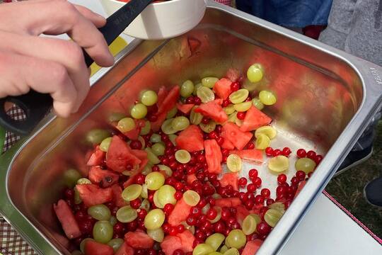 Letné šantenie so zdravým jahodovým sorbetom Letné šantenie so zdravým jahodovým sorbetom 1