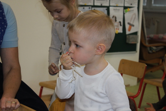 Ako sme v MŠ Kunerad dlávili kapustu 1