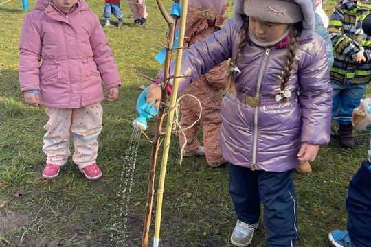 Sadenie stromčekov 1