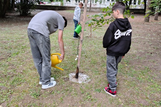 Budeme mať ovocný sad! 1