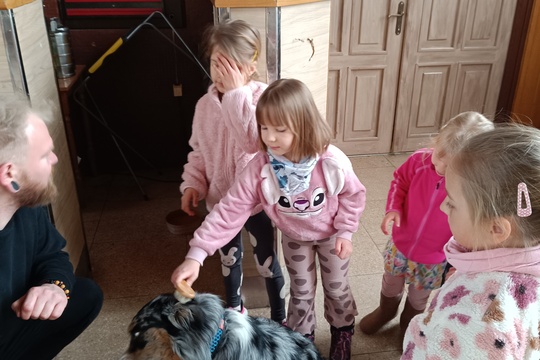 Domáci maznáčikovia 1