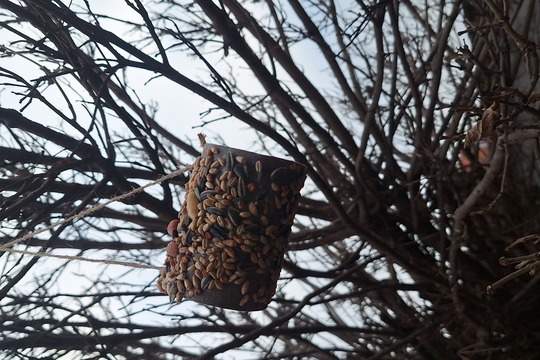 Naši prváci vyrábali kŕmidlo pre vtáčiky 1