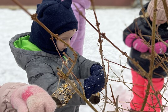 Zimná hostina pre vtáčiky 1