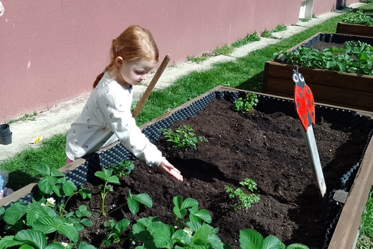 Zelený detský svet: Materská škola Medňanského a Skutočne zdravá škola 1