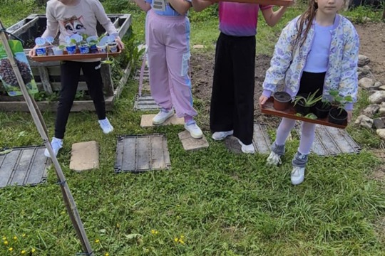 Burza rastlín: Z tried rovno do záhrady 1