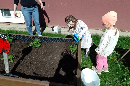 Zelený detský svet: Materská škola Medňanského a Skutočne zdravá škola 1