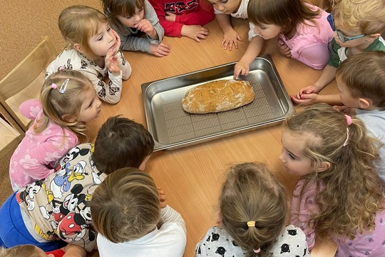 Od zrnka ku chlebíku 1