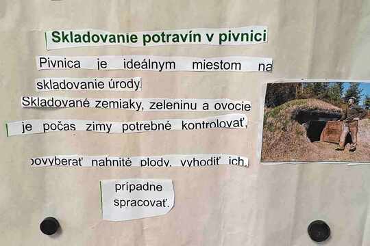 Plytvanie potravinami 1