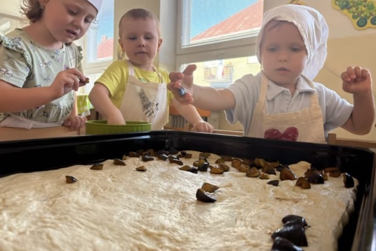 Slivkový koláč (Zo stromu na tanierik) 1