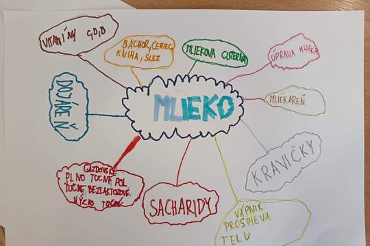 Svetový deň mlieka v našej škole Svetový deň mlieka v našej škole 1