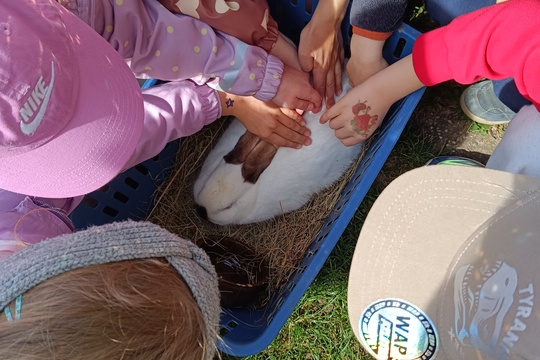 Domáci maznáčikovia 1