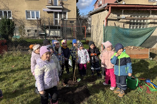 Sadenie stromčekov 1