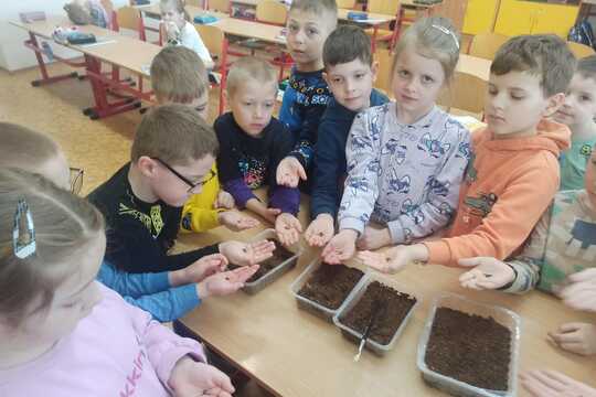 Siatie zeleniny a mikrozeleniny 1