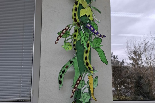 Týždeň plný strukovín 1