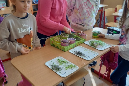 Naše Mikrobylinkové záhradky 1