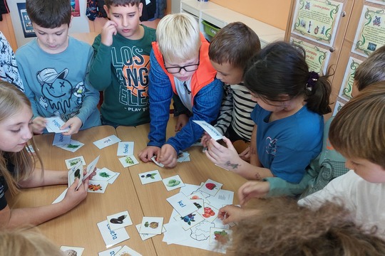 Zelenina a ovocie – sezónne, lokálne, hravo a s chuťou 1