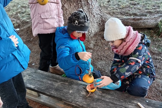 Pomáhame vtáčikom v zime  1